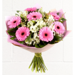 GERBERA-BEAUTY