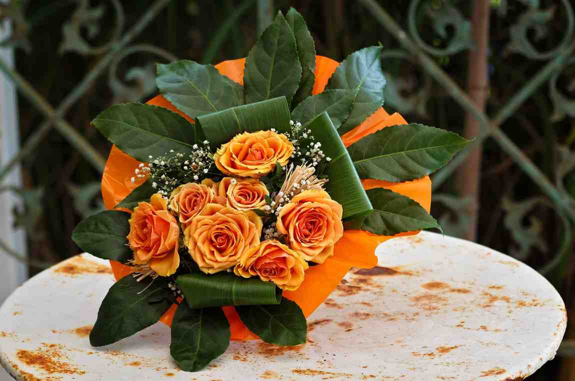 orange flowers